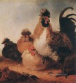 Rooster And Hens countryside painter Aelbert Cuyp